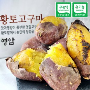 영암 황토 고구마 명품 꿀고구마 무농약 고당도 최상품 황금 호박 세척, 1개, 황토고구마_2kg
