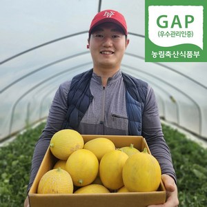 [하늘밭] 산지직송 초고당도 성산 하미과메론, 1박스, 프리미엄 골드하미과 3kg(3~6과)