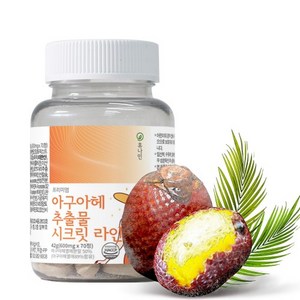 HACCP 휴나인 프리미엄 아구아헤 추출물 시크릿 라인 70정600mg, 1개, 70정