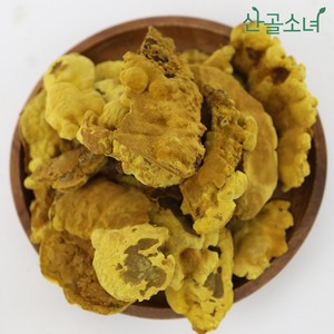 산골소녀 국내산 상황버섯, 300g, 1개