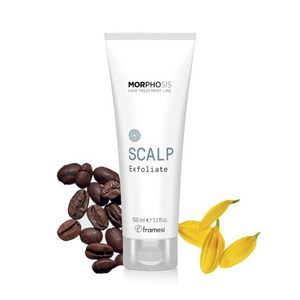 프라메시 모포시스 스칼프 익스폴리에트 150ml 두피 각질제거제, 1개