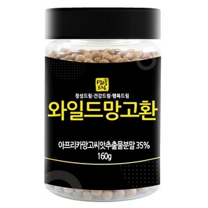 생생드림 와일드망고환 160g, 1개