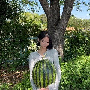 [과애모] 프리미엄 고당도 왕 수박 7~10kg 선물용 가정용, 9kg~10kg, 1개