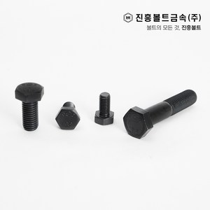 특강 고장력 육각볼트 개당 판매(12mm ~ 100mm) M6 M8 M10 M12 M14, 25mm, 1개