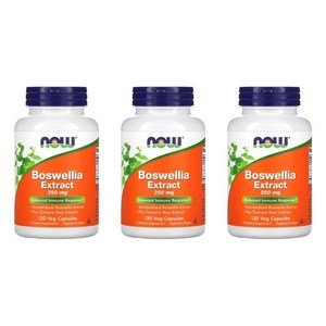 Now Foods 보스웰리아 추출물 250mg 베지 캡슐, 120정, 3개