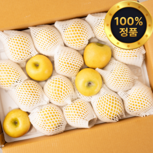 [파격특가] 산지직송 황금 시나노골드사과 정품(개별망), 1개, 2kg 중소과~중과(7-9과)