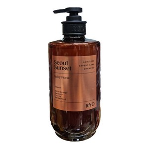 려 자양윤모 탈모증상케어 퍼퓸 샴푸 서울석양 585ml+트리트먼트200ml 세트, 1개, 585ml