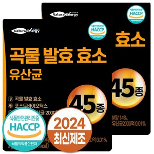 자연속 하루 효소 곡물 발효 효소 유산균 45종, 90g, 2개