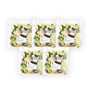 프레시온 탄산세척 데일리 얌얌 야채 샐러드 70gX5팩, 70g, 10개