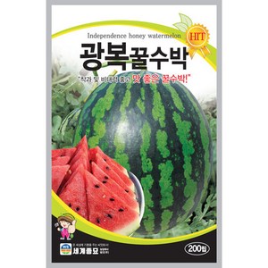 광복꿀수박200립 씨앗 세계