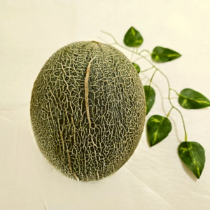 [당일수확]산지직송 프리미엄 꿀맛 하미과 멜론, 1개, 그린 2kg (2~3과)