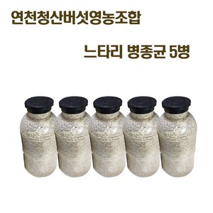 칡느타리 원목접종 흑색느타리 종균 재배 버섯 키우기 5병, 5개, 흑색느타리버섯 종균(접종용)