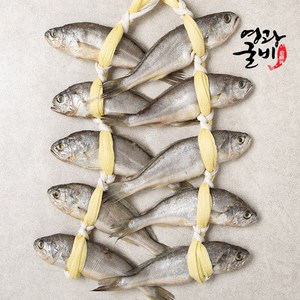 [착한굴비] 영광 법성포 오가 굴비 선물세트 10미, 1세트, 10미 1.0kg