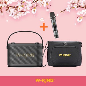 W-KING Camigo H10S 버스킹 악기연주 노래방 캠핑 휴대용 블루투스 스피커 무선마이크포함, 스피커 단품 (마이크포함) + 전용가방