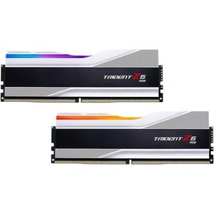 G.SKILL Tident Z5 RGB 시리즈 (인텔 XMP 3.0) DDR5 RAM 64GB (2x32GB) 6400MT/s CL32-39-39-102 1.40V 데스크탑 컴퓨, 96GB (2x48GB)_Slive, 2개