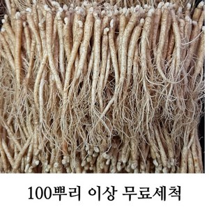 삼계탕용 갈비탕용 작은 실삼계 무료세척 실속형 100뿌리이상, 잔삼계750g(100-130뿌리), (세척해주세요O), 1개