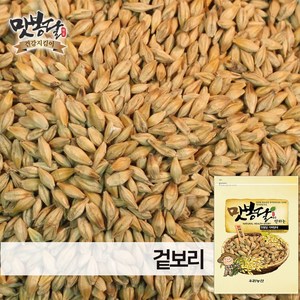 맛봉달 24년 겉보리 통보리 국내산, 1개, 3kg