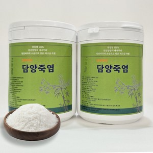 담양죽염 2번 구운 잇몸케어 요리 조리용 죽염 대용량 500g, 1개