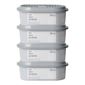 온다숲 천연 반영구 제습제, 300g, 4개