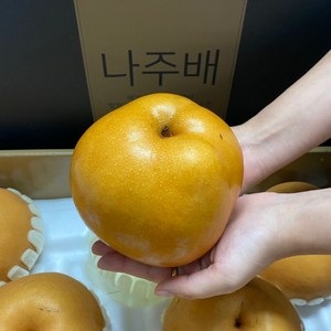 배 나주배 신고배, 1박스, 특품 7.5kg (11-13과)