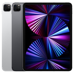 Apple 아이패드 프로 11 3세대 M1칩, 실버, 256GB, Wi-Fi