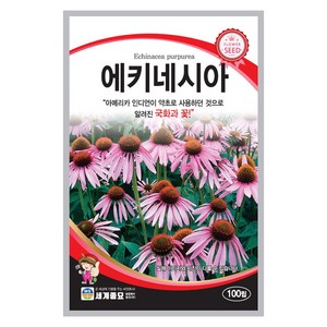 모칸도 세계종묘 꽃씨앗 에키네시아 100립, 1개