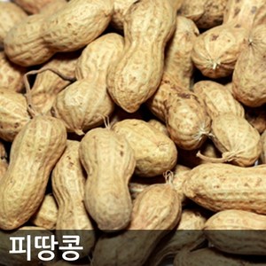 2024년 햇 볶음피땅콩 1kg 껍질채볶은 피땅콩, 1개