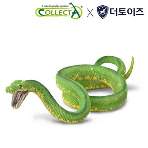 컬렉타 초록나무 비단뱀 88962, 1개