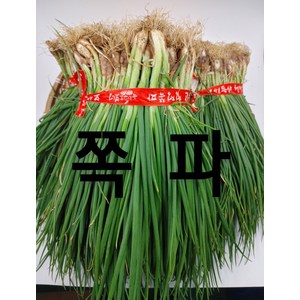 쪽파 보성 흙쪽파 1단 (1.5kg 내외) 야채맘, 1.5kg, 1개