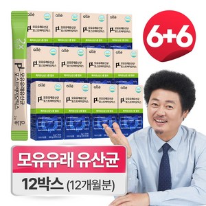 모유 유산균 가루 포스트바이오틱스 프롤린 식약청인증 HACCP 제품 알레, 12박스, 30회분