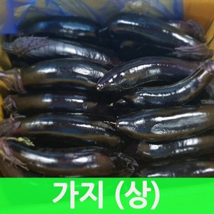 싱싱한 가지5kg(상품)1박스 생가지, 5kg, 1개