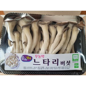 야채왕 무농약 느타리 참타리 버섯 200g 1팩 /3팩/ 5팩 /10팩 - 수도권 충청지역 팀프레시 새벽배송, 1개