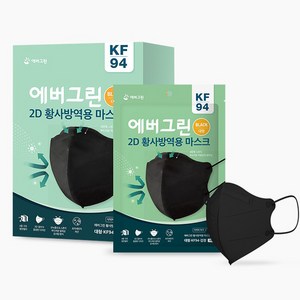 에버그린 2D 황사방역용 마스크 블랙 대형 KF94, 1개입, 100개