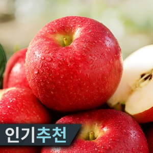 [산지선별장직송] 16bix 가정용특가 청송사과 부사사과, 1개, 2kg고당도(혼합과)
