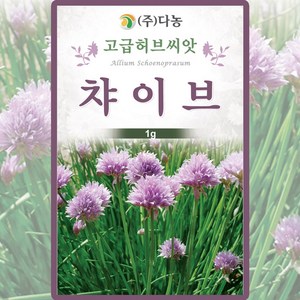 다농 챠이브 씨앗 1g, 1개