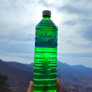 하동 지리산 고로쇠 수액, 6개, 1.5L