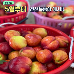 [예약판매] [초특가] 신선복숭아 신선 꿀맛 초저가 고당도 시즌 한정판매 6월9일 순차배송, 1박스, 한입과/1kg/16과내외