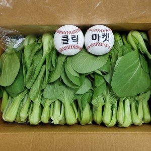 클릭마켓 국내산 청경채 4kg 마라탕 샤브샤브 용, 1개