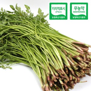 무농약 청도 한재미나리 1kg, 1개