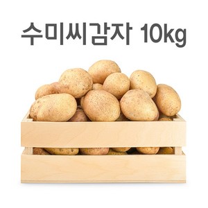 씨감자 수미 두백 4KG 10KG 20KG 강원도 왕산면 보급종, 수미감자(반찬용), 1개