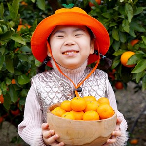 제주 서귀포발송 초고당도 제철 노지 감귤, 1박스, 9kg(로얄과)