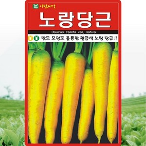 아람종묘 식방풍 500립, 1개