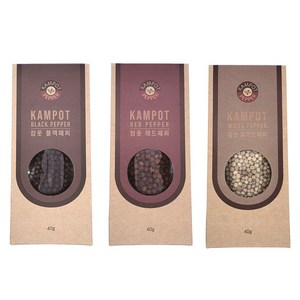 캄보디아 최상급 캄폿 통후추 리필, 흑후추(리필 40g), 40g, 1개