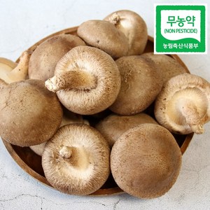 광헌팜 생표고버섯 1kg/2kg/4kg, 표고버섯 못난이 1kg, 1개