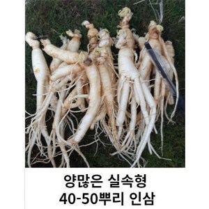 못난이 작은 파삼 세척못난이 40-50뿌리 금산인삼 수삼 파삼 가정용, 1kg 45-55뿌리세척 (0) +못난이대추(30g), 1kg, 1세트