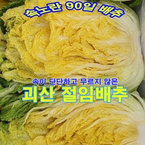 [산지직송] 속노란 90일 괴산 절임배추, 20kg, 1박스