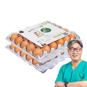 [당일 생산] 닥터안스에그 무항생제 인증 수의사 계란, 30구, 2개