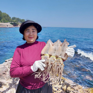 오징어엄마 원양산 마른오징어 건오징어 건조오징어, 1개, 마른 [중] 10마리 600g