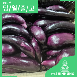 국내산 햇 가지 한박스 못난이 가정용 [신흥유통][무료배송]★최저가특가★, 가지 10kg, 1개