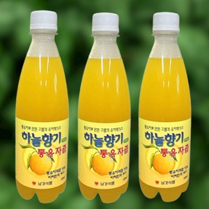 무농약 유자즙 유자차 유자청 유자원액 에이드 엑기스, 4개, 500ml, 1개입